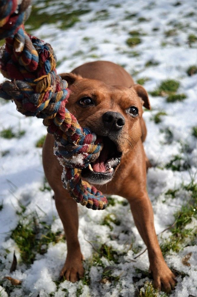 Photograph by Zdeňka Hudcová