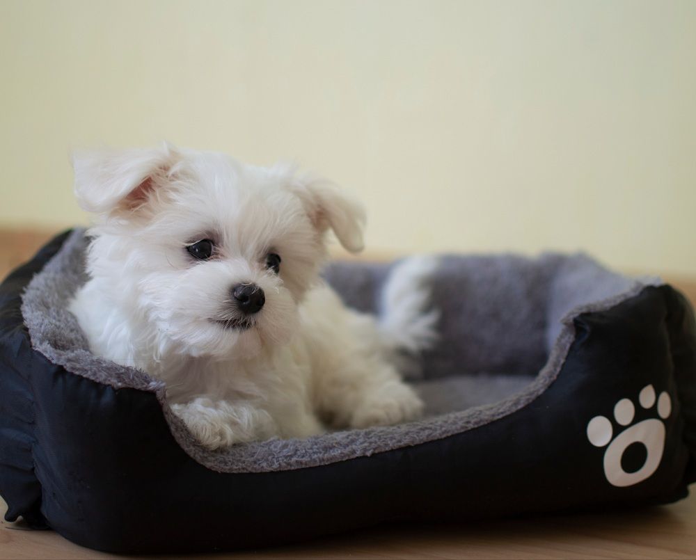 Photograph by Наталья Трусова