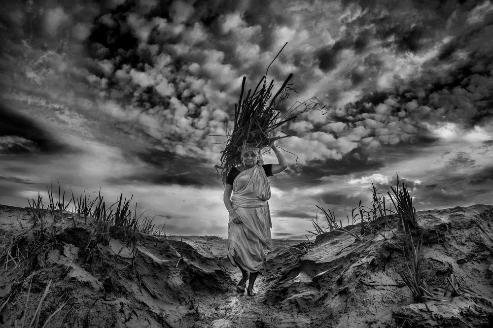 Photograph by ANIMESH MAJI