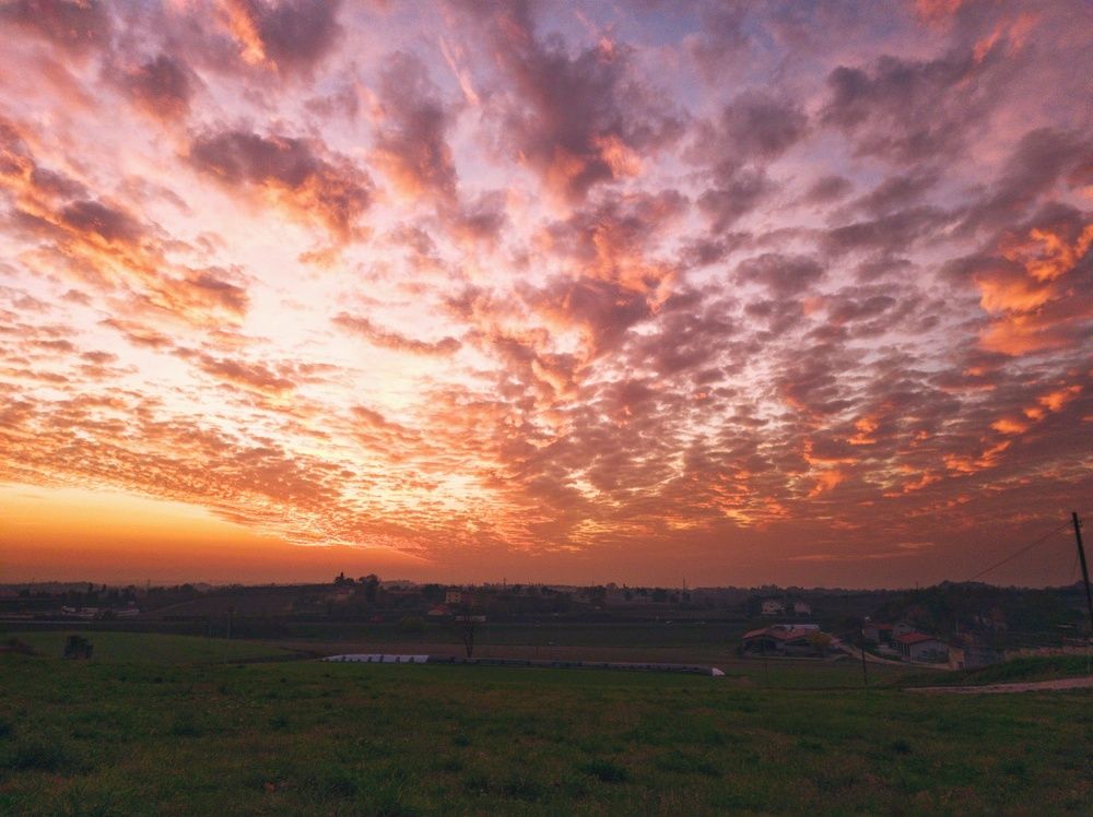 Photograph by Yulia Bilato