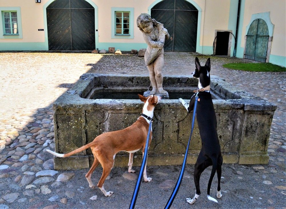 Photograph by Zdeňka Hudcová