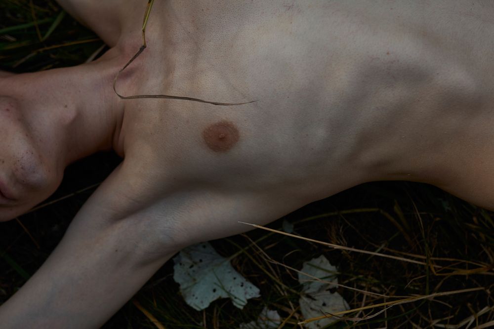 Фотография автора Дмитрий Дмитриев