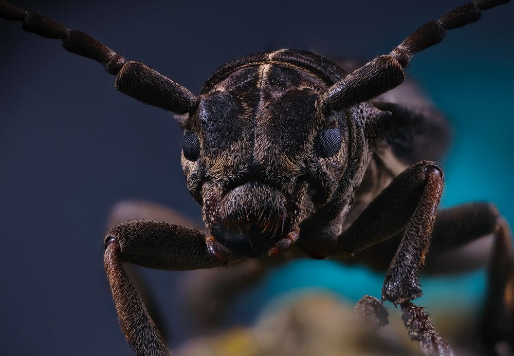 Photograph by Юрьевич Юрий