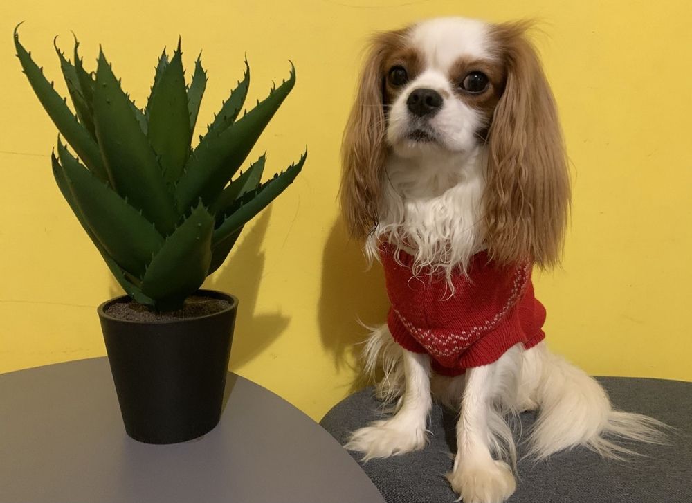 Photograph by Теодора Милекич