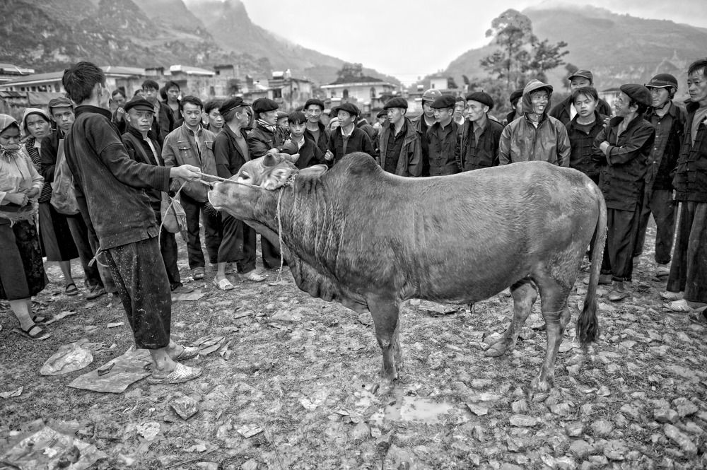 Photograph by NURER YUKSEL