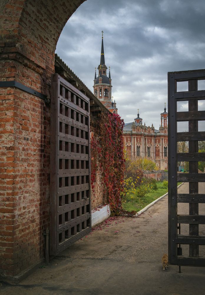 Фотография автора Екатерина Дегтярева