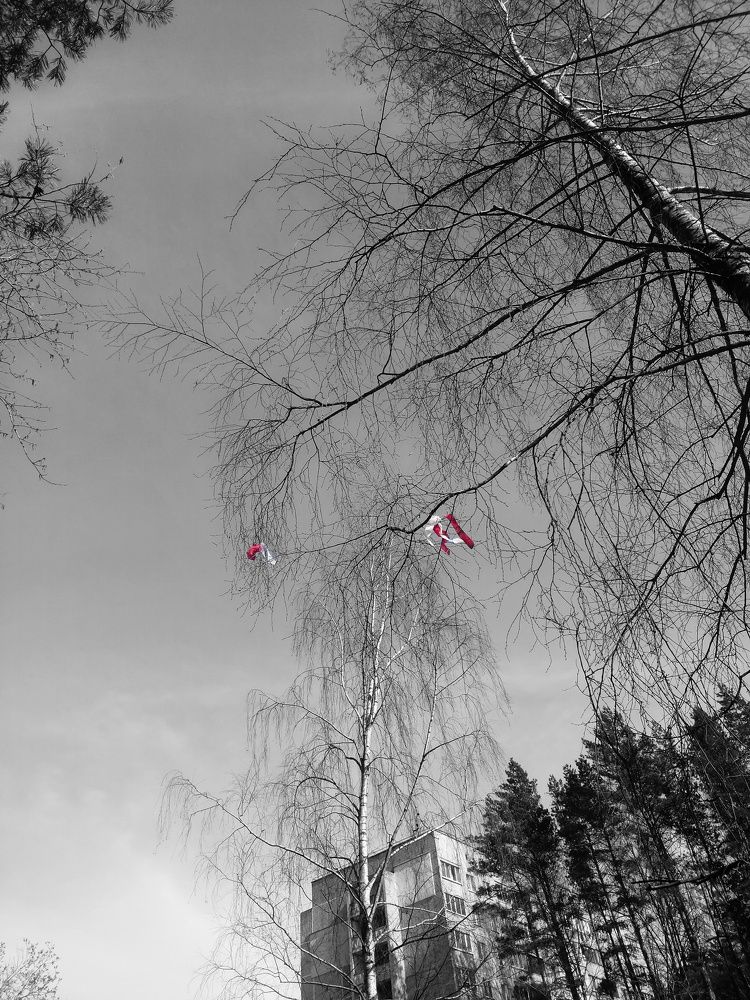 Photograph by Алина Олесик