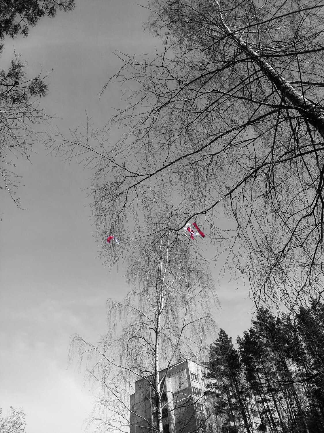 Photo #6086953