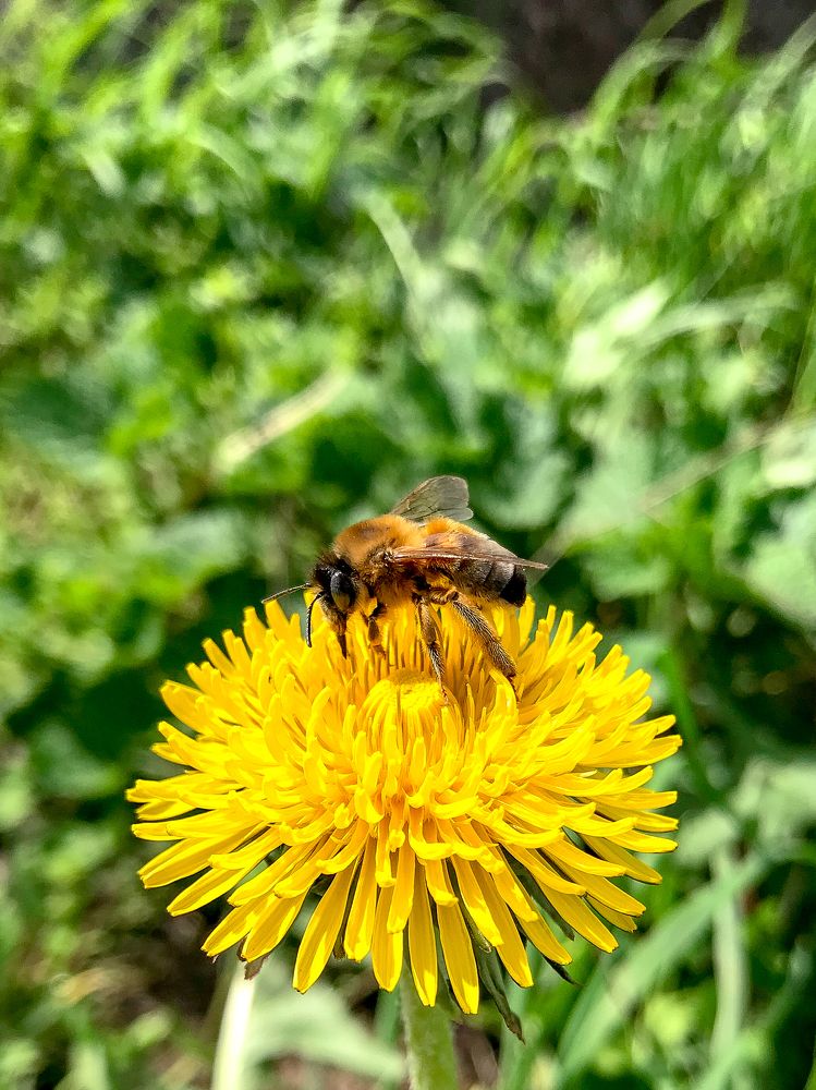 Photograph by Екатерина Стефанова