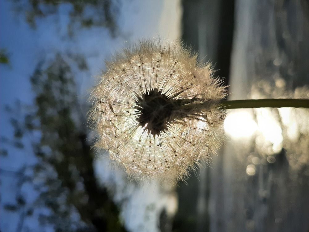 Photo #6086964
