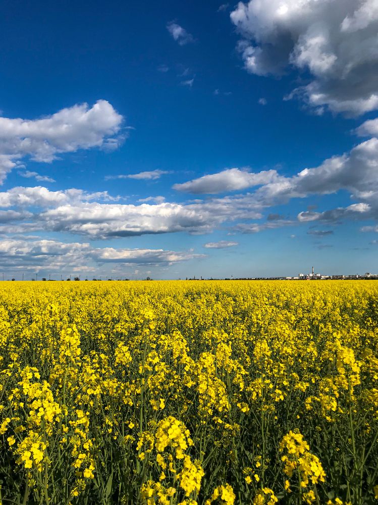 Photograph by Екатерина Стефанова