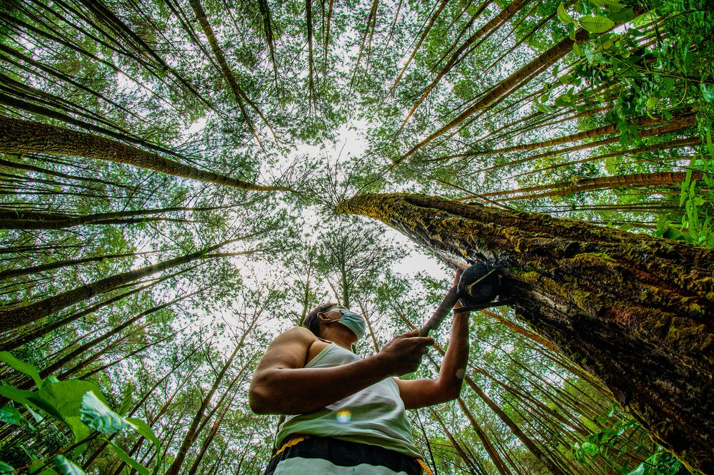 Photograph by Mohamad Aripin