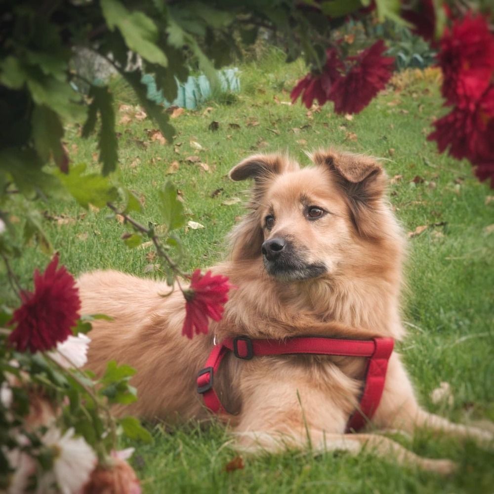 Photograph by Александр Козленков