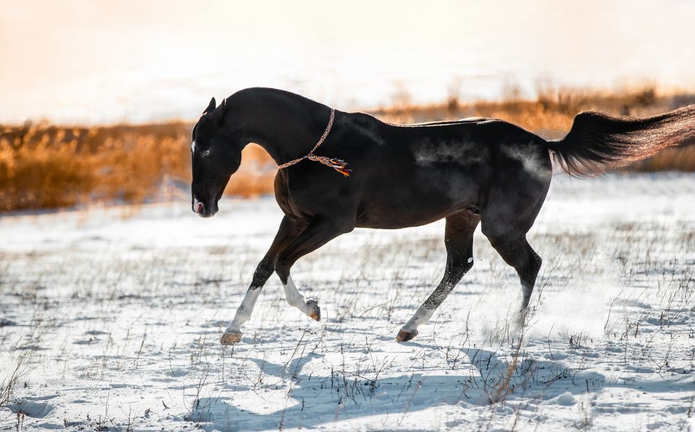 Обгоняющий тьму