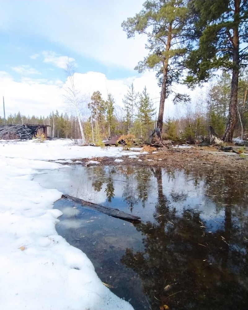 Photograph by Надежда Иванова