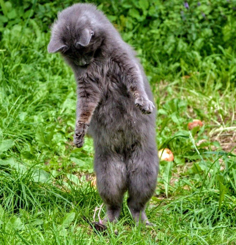 Photograph by Ольга Хромова