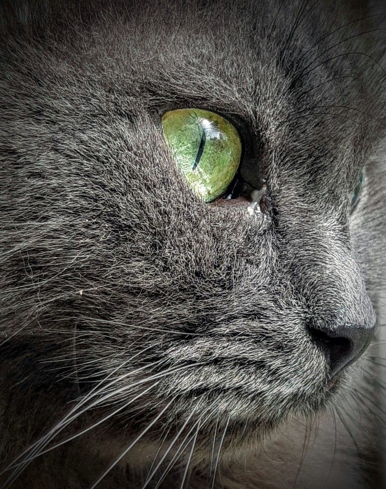 Photograph by Ольга Хромова