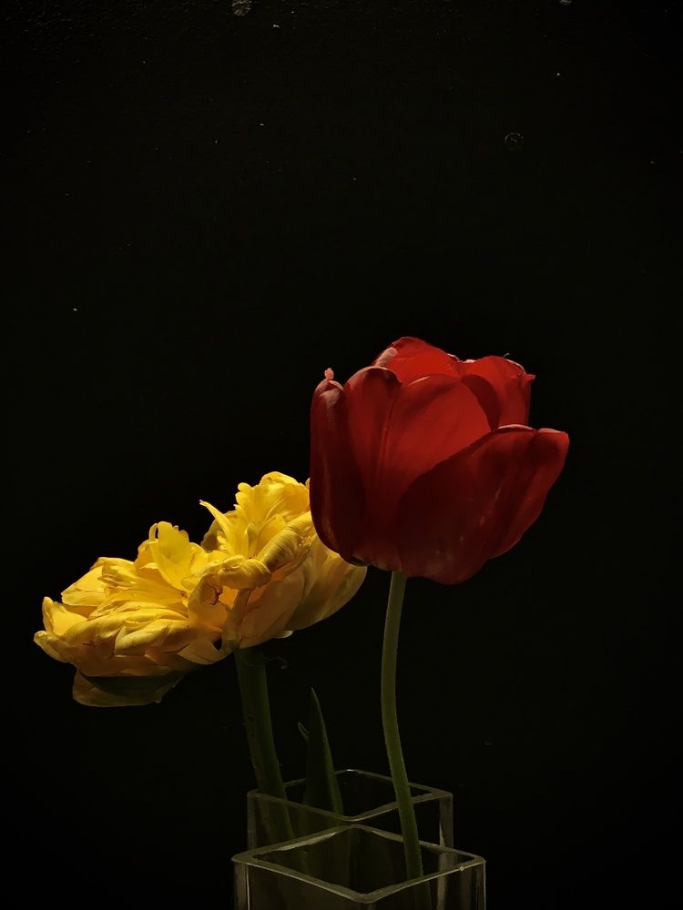 Photograph by Антуанета Грабар