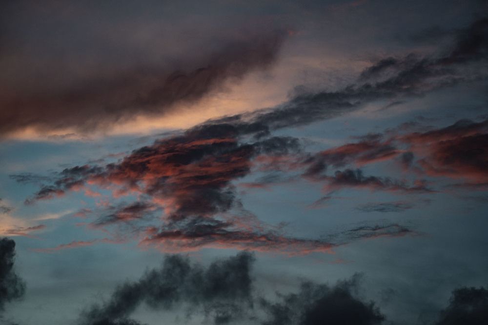 Photograph by Mariana