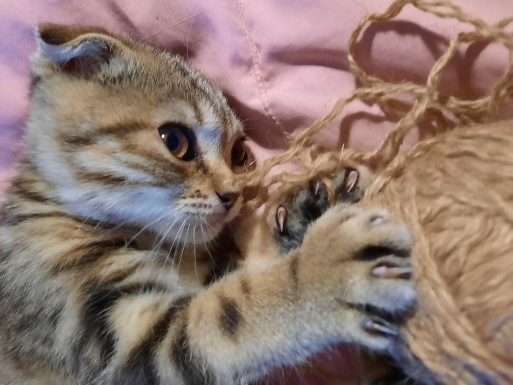 Photograph by Elena Khalizova