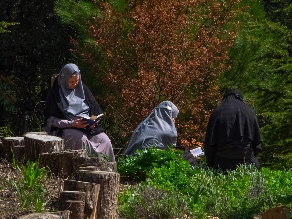 Photograph by mikhail goryachev