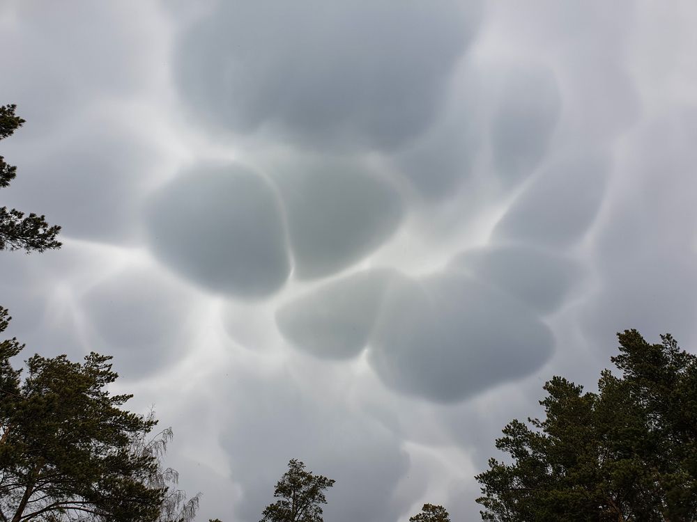 Photograph by Елена Димова