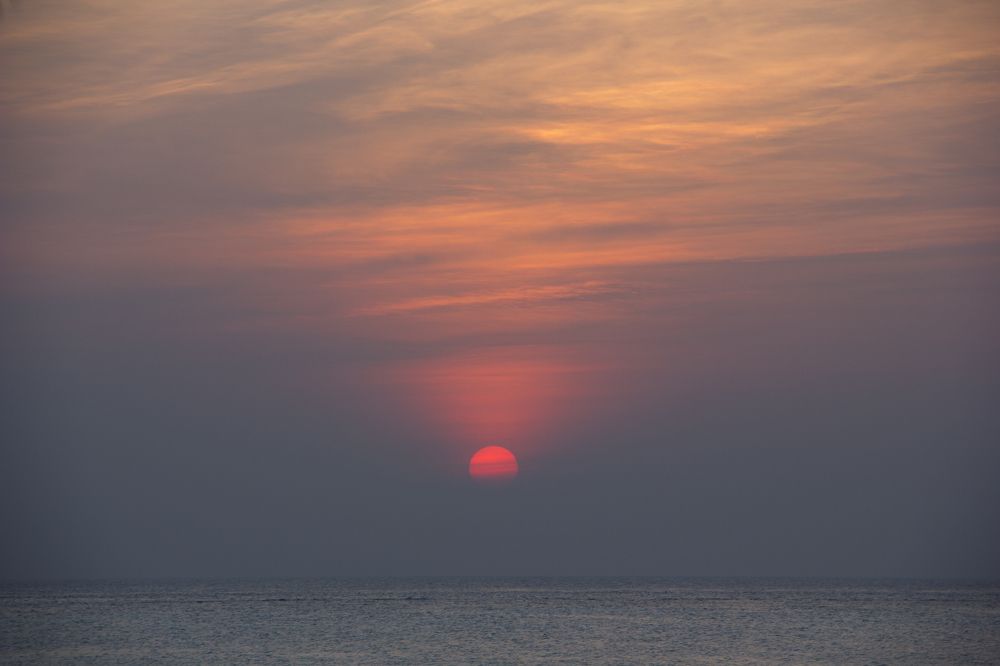 Photograph by Anna Gapanovich