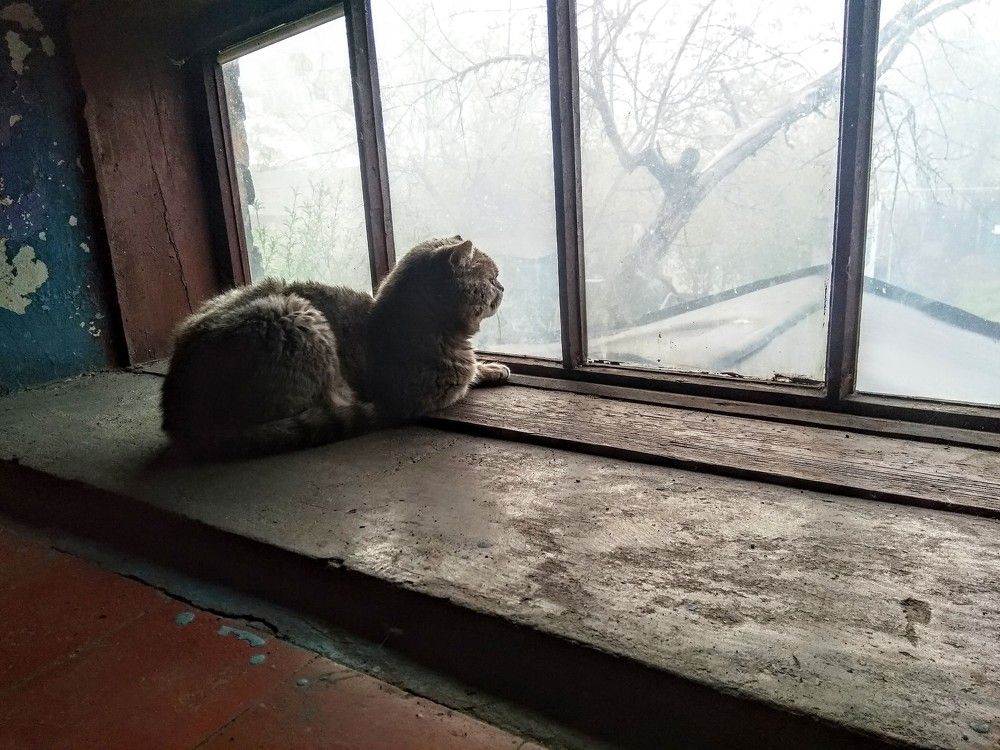 Photograph by Денис Лащ