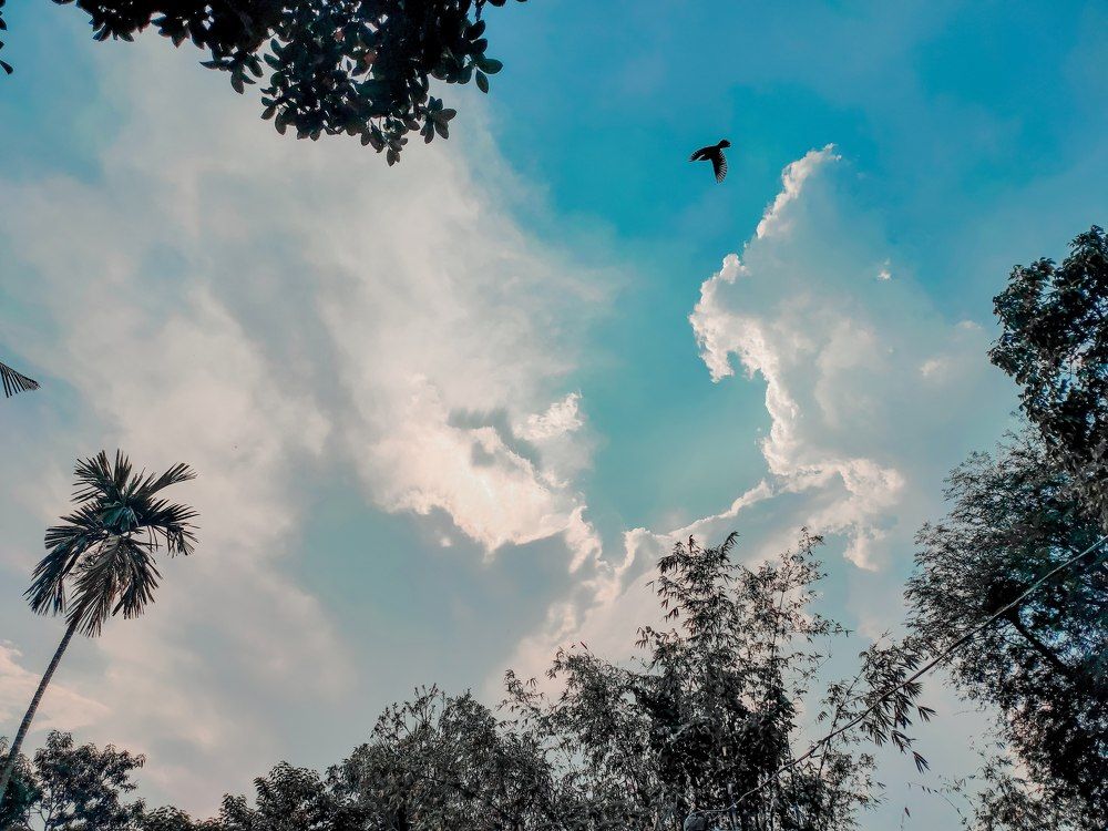 Photograph by Sumon Ghosh