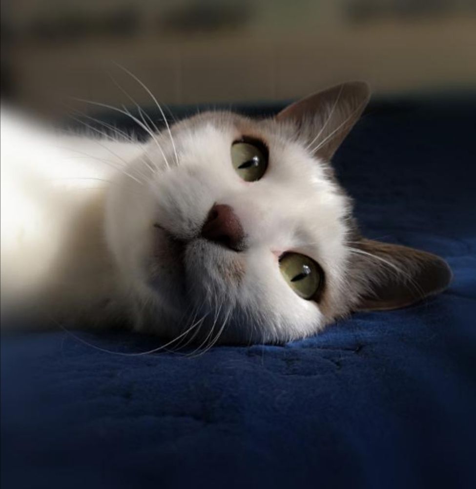 Photograph by Ольга Лаврик