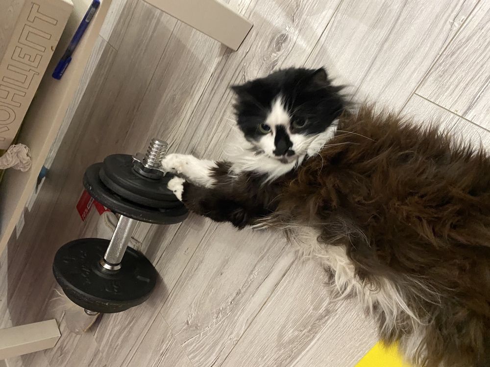 Фотография автора Vladimir Shevchenko