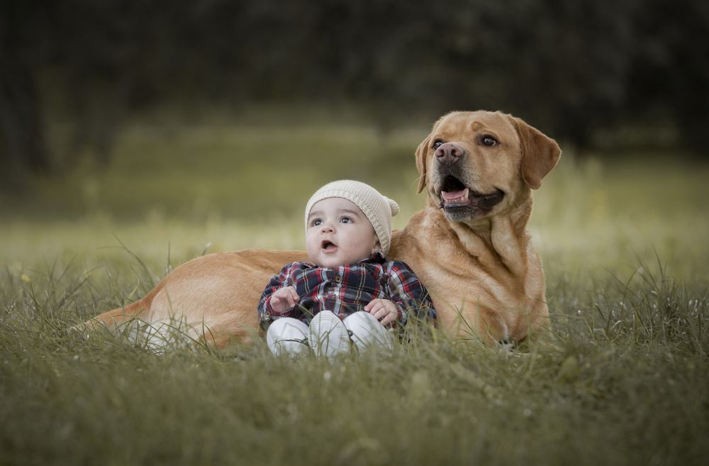 Photograph by Alexandre Marques