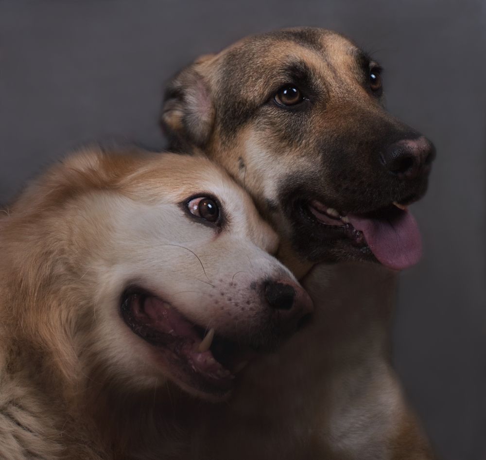 Photograph by Светлана Алексеева