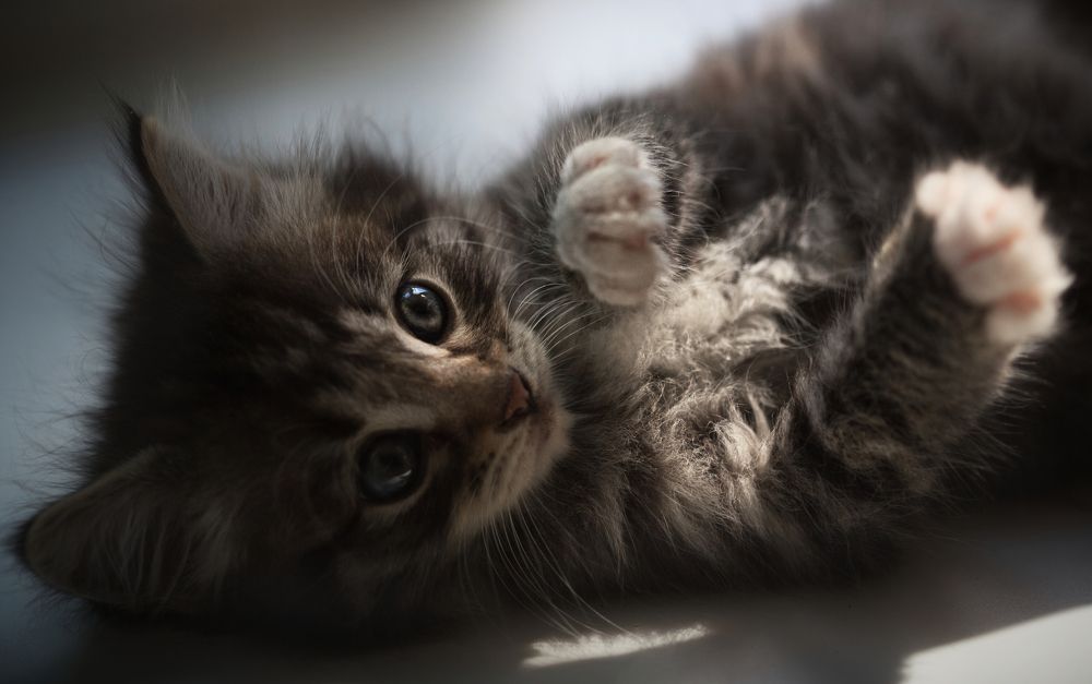 Photograph by Светлана Алексеева