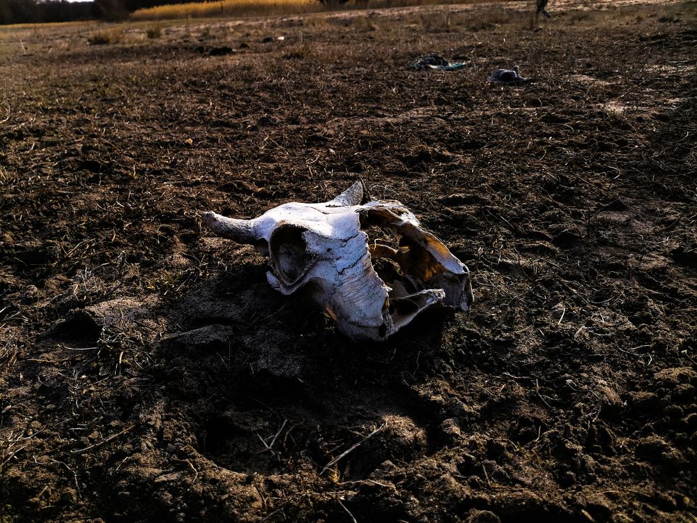 Photograph by Данил Батурин