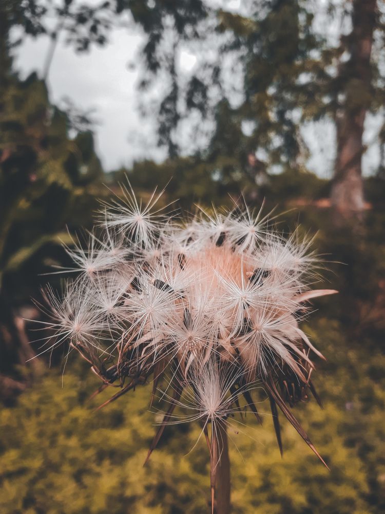 Photograph by Hayan Ahmad