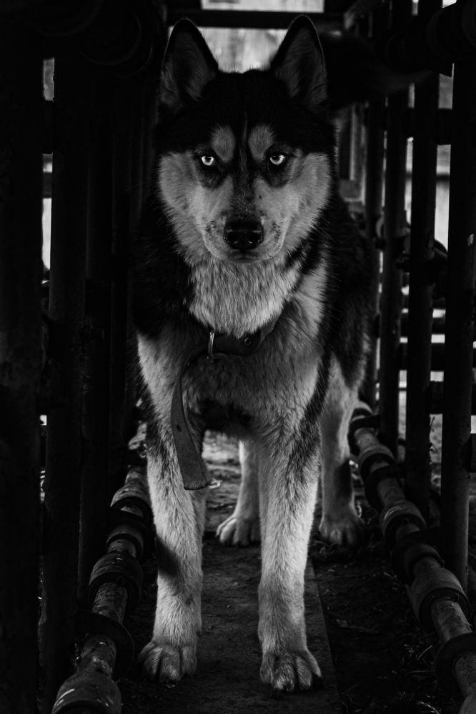 Photograph by Анна Рогачева