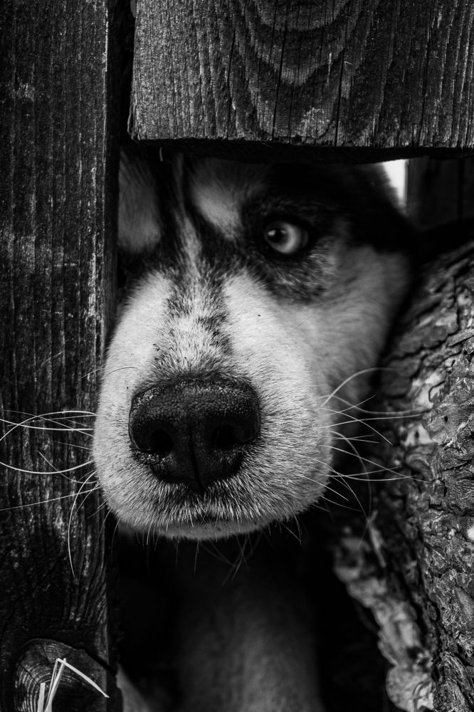 Photograph by Анна Рогачева