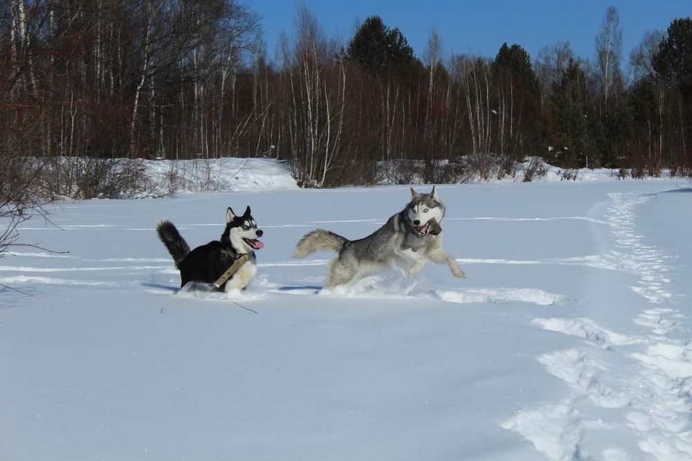 Photograph by Анна Рогачева