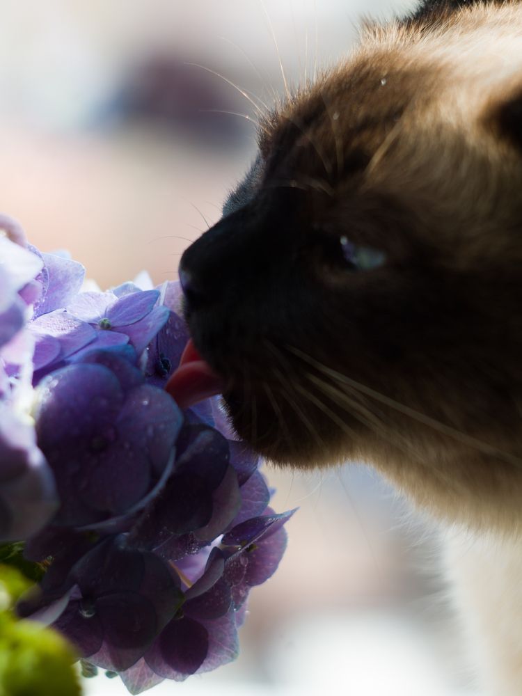 Photograph by Никита Серебряков