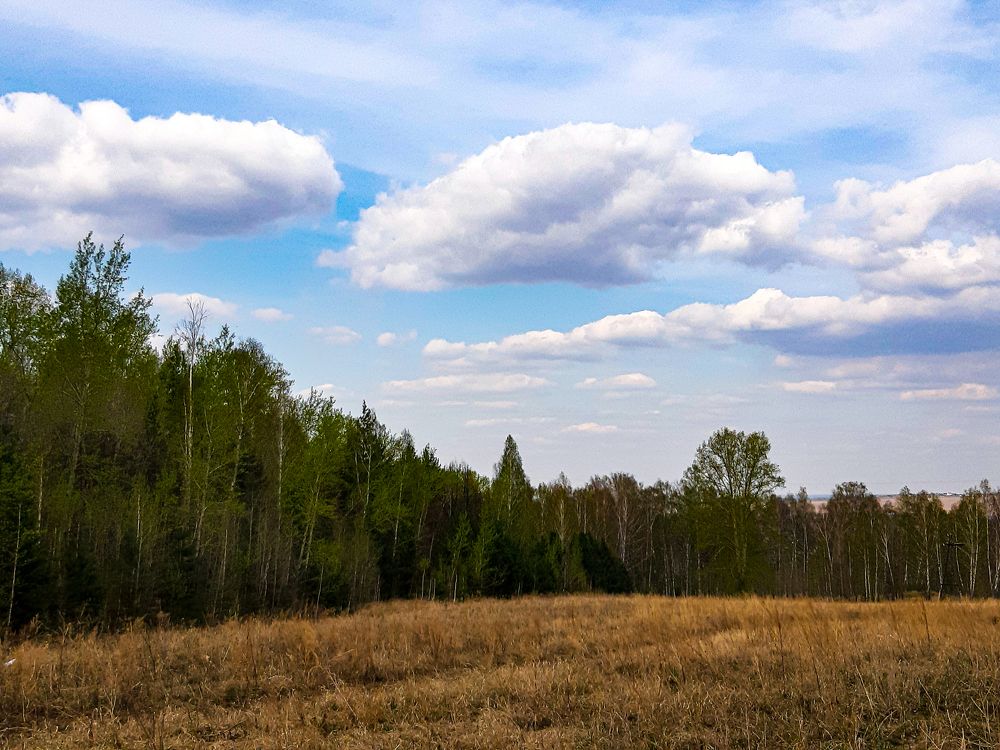 Photograph by Наталья Муравьёва