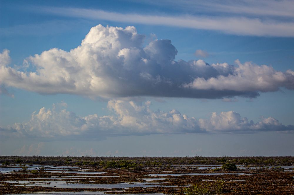 Photograph by Ryanny Torna