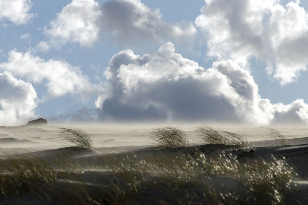 Photograph by Rolandas Valančauskas