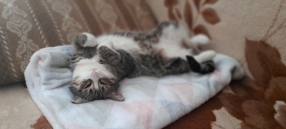 Photograph by Даниил Семенов