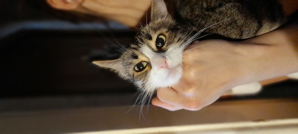 Photograph by Даниил Семенов