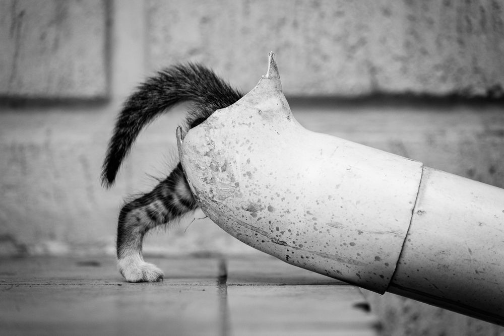 Photograph by Сергей Котов