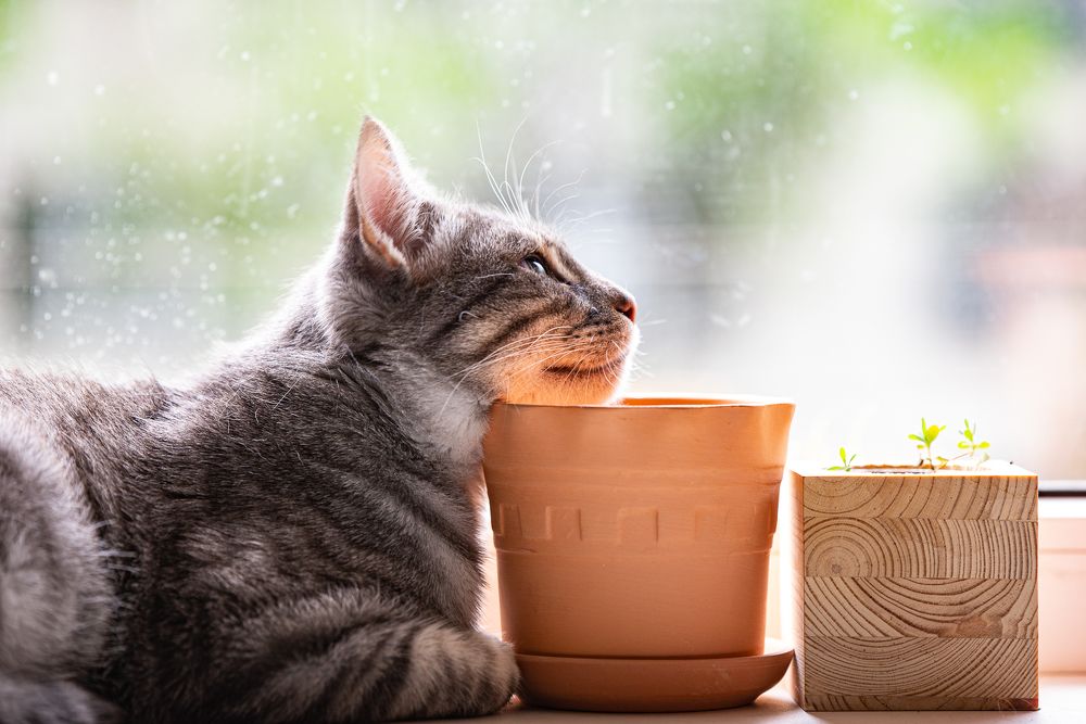 Photograph by Сергей Котов