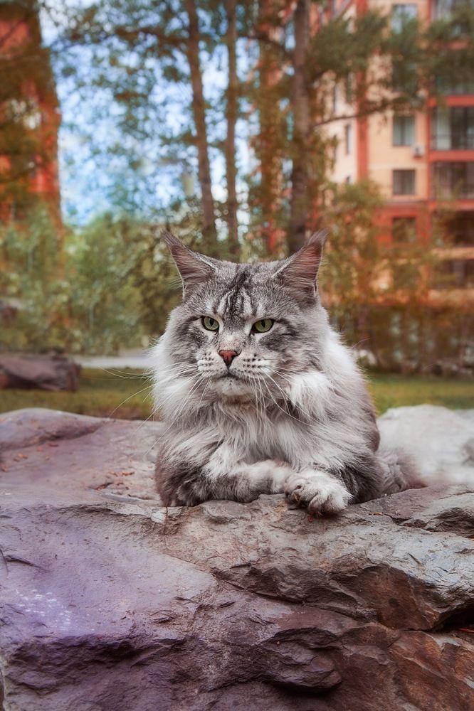 Photograph by Алена Окунева