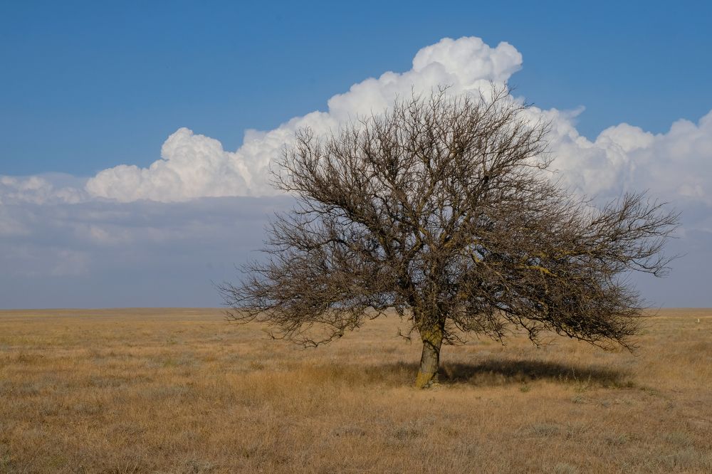 Фотография автора Дарья Бугра-Парыгина