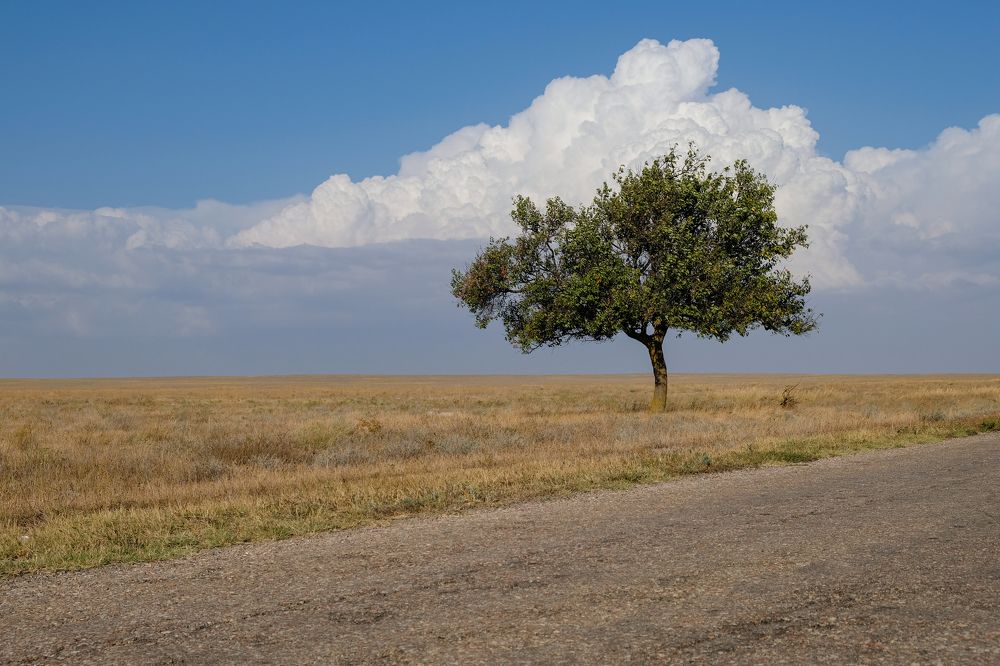 Фотография автора Дарья Бугра-Парыгина